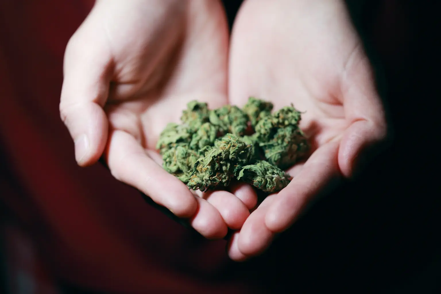 Salud pública. Asociación pro cannabis. Exigencias legales en el autoconsumo compartido